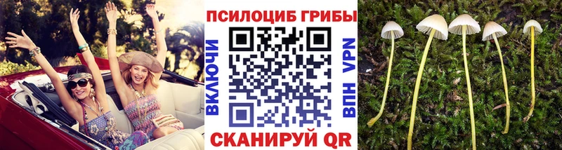 Купить где  Козьмодемьянск  Галлюциногенные грибы GOLDEN TEACHER 